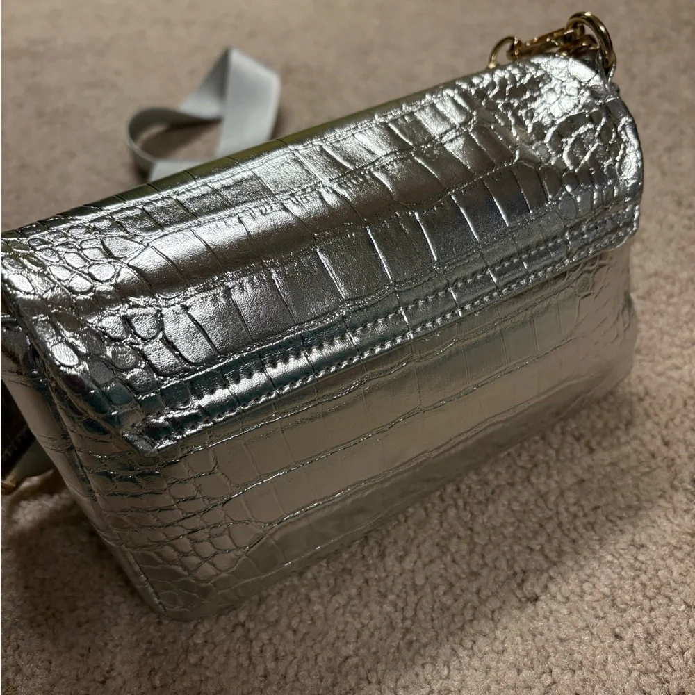 Caroline Hill Dakota Platinum Crossbody ntw - Picture 5 of 7